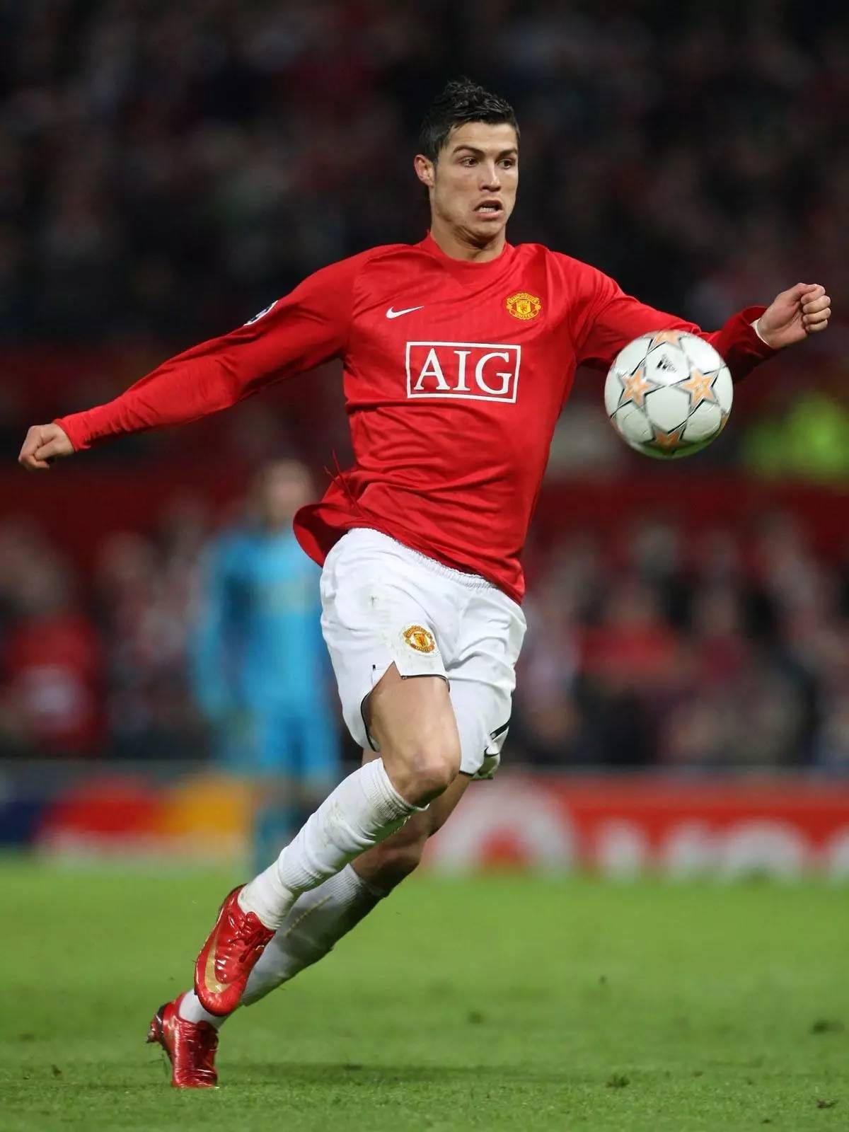 将形成一个 将形成一个